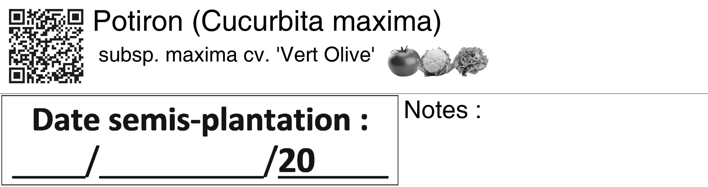 Étiquette de : Cucurbita maxima subsp. maxima cv. 'Vert Olive' - format c - style noire60_basiquegrrvhel avec qrcode et comestibilité simplifiée