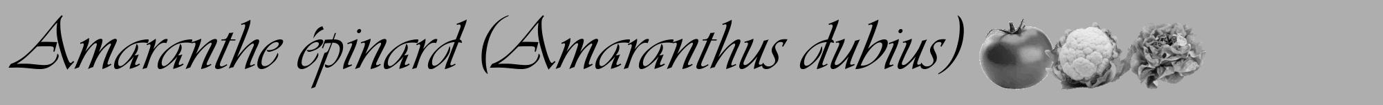 Étiquette de : Amaranthus dubius - format a - style noire53viv avec comestibilité simplifiée