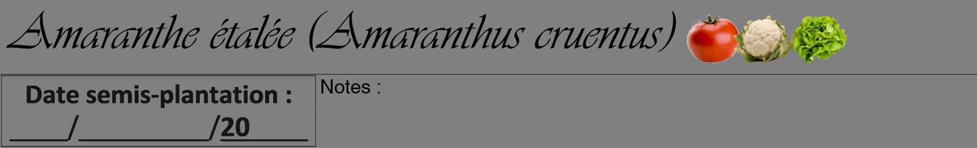 Étiquette de : Amaranthus cruentus - format a - style noire57viv avec comestibilité simplifiée