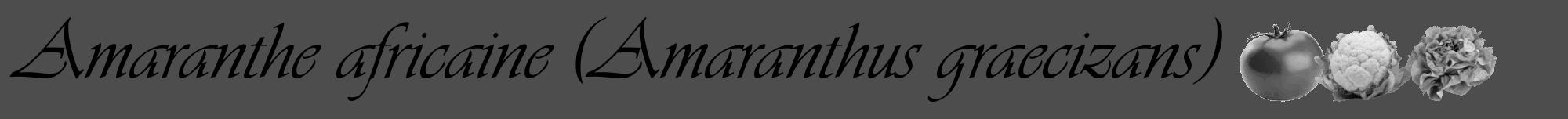 Étiquette de : Amaranthus graecizans - format a - style noire28viv avec comestibilité simplifiée