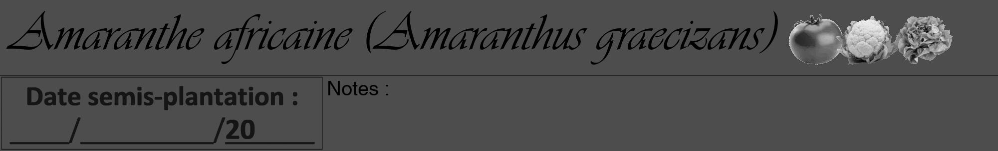 Étiquette de : Amaranthus graecizans - format a - style noire28viv avec comestibilité simplifiée