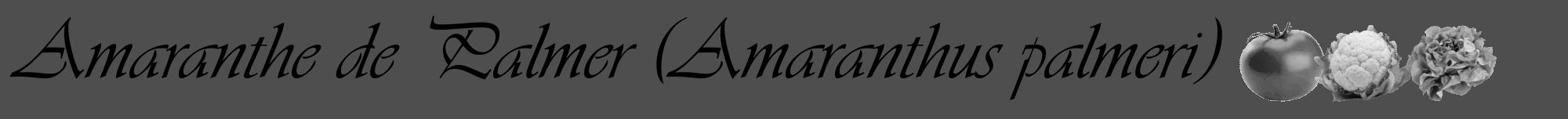 Étiquette de : Amaranthus palmeri - format a - style noire33viv avec comestibilité simplifiée