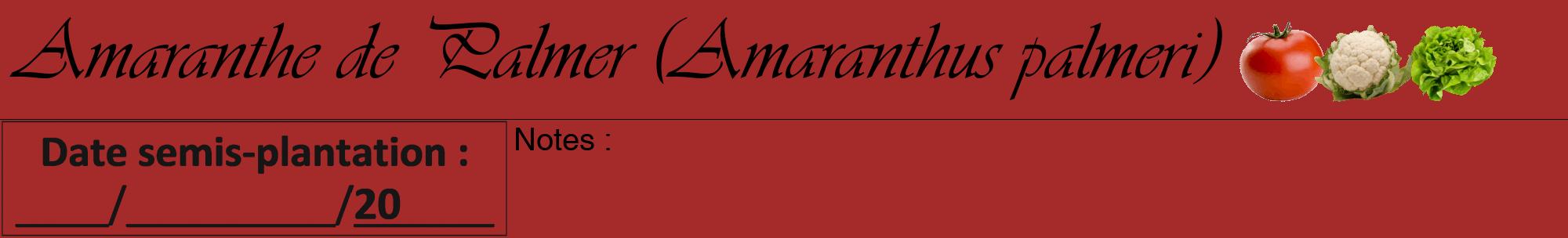 Étiquette de : Amaranthus palmeri - format a - style noire33viv avec comestibilité simplifiée