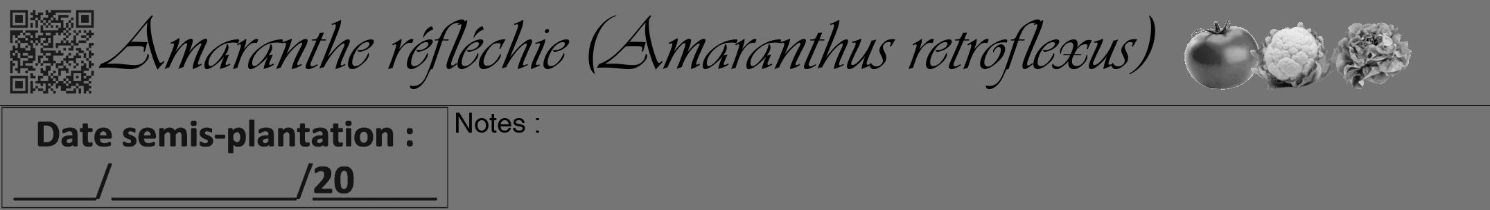 Étiquette de : Amaranthus retroflexus - format a - style noire5viv avec qrcode et comestibilité simplifiée