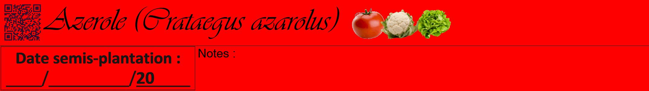 Étiquette de : Crataegus azarolus - format a - style noire27simpleviv avec qrcode et comestibilité simplifiée