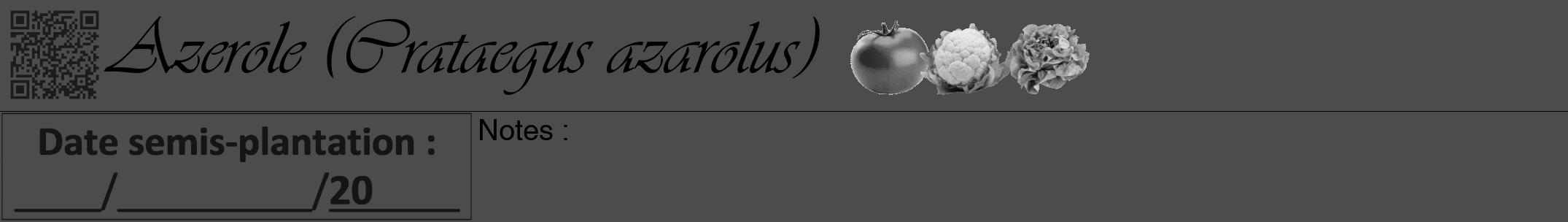 Étiquette de : Crataegus azarolus - format a - style noire27simpleviv avec qrcode et comestibilité simplifiée