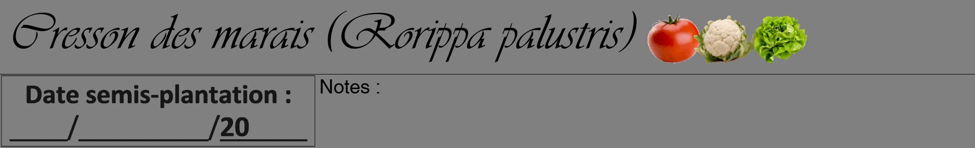 Étiquette de : Rorippa palustris - format a - style noire57viv avec comestibilité simplifiée
