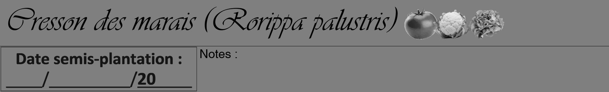 Étiquette de : Rorippa palustris - format a - style noire57viv avec comestibilité simplifiée