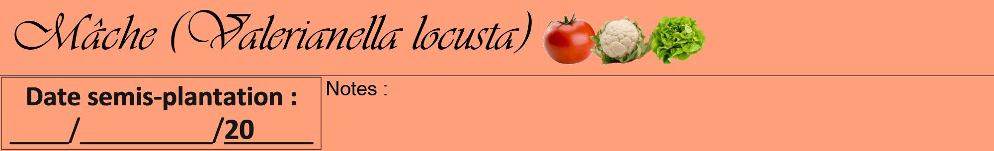Étiquette de : Valerianella locusta - format a - style noire39viv avec comestibilité simplifiée
