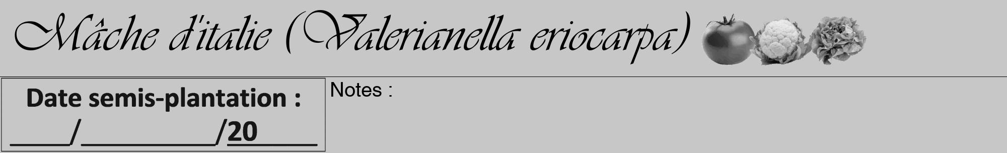 Étiquette de : Valerianella eriocarpa - format a - style noire15viv avec comestibilité simplifiée