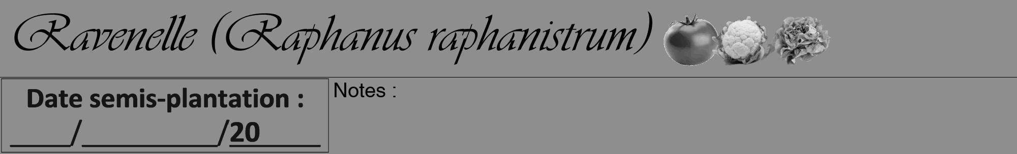 Étiquette de : Raphanus raphanistrum - format a - style noire25viv avec comestibilité simplifiée