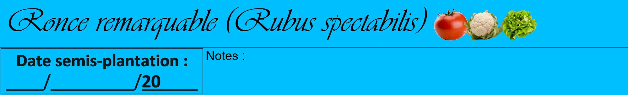 Étiquette de : Rubus spectabilis - format a - style noire2viv avec comestibilité simplifiée