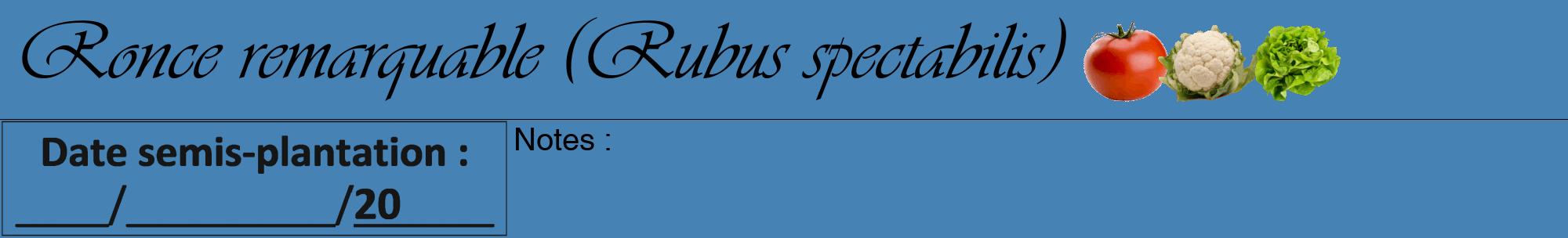 Étiquette de : Rubus spectabilis - format a - style noire5viv avec comestibilité simplifiée