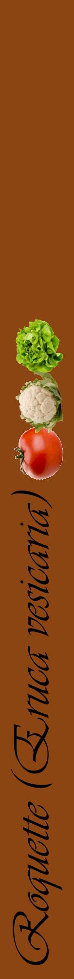 Étiquette de : Eruca vesicaria - format a - style noire30viv avec comestibilité simplifiée