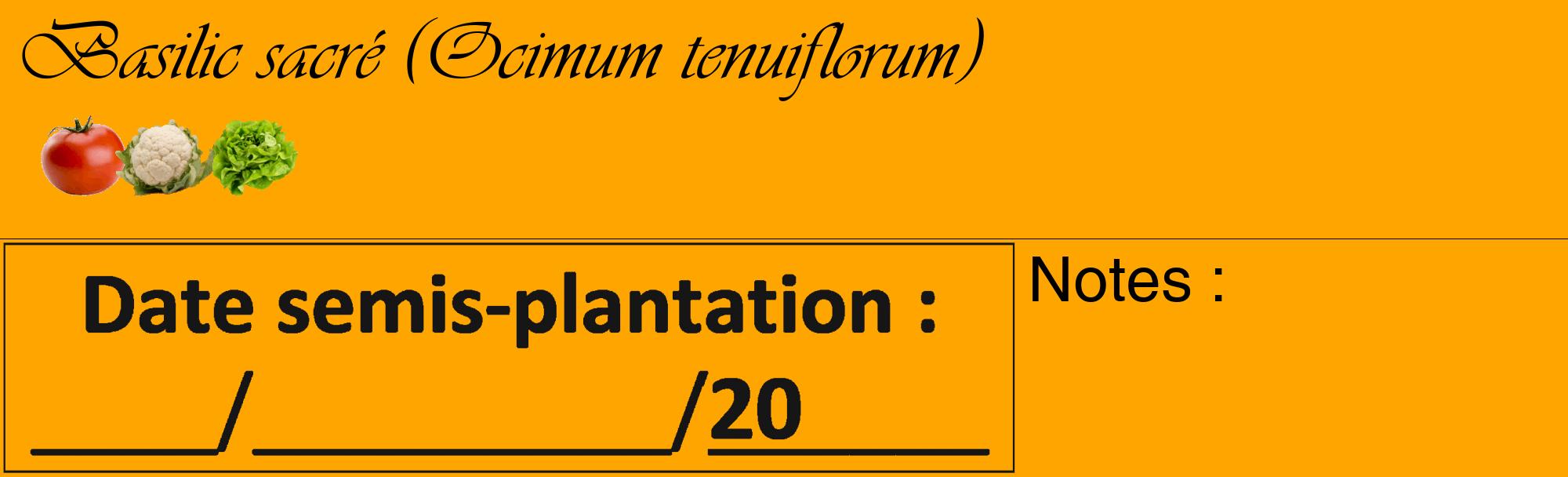 Étiquette de : Ocimum tenuiflorum - format c - style noire22_basique_basiqueviv avec comestibilité simplifiée