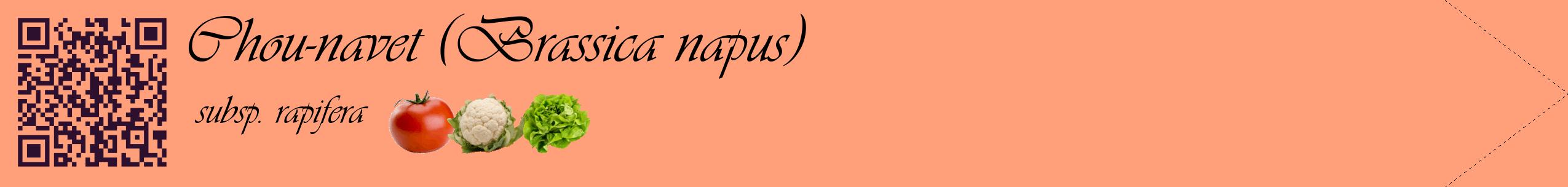 Étiquette de : Brassica napus subsp. rapifera - format c - style noire39simple_basique_basiqueviv avec qrcode et comestibilité simplifiée