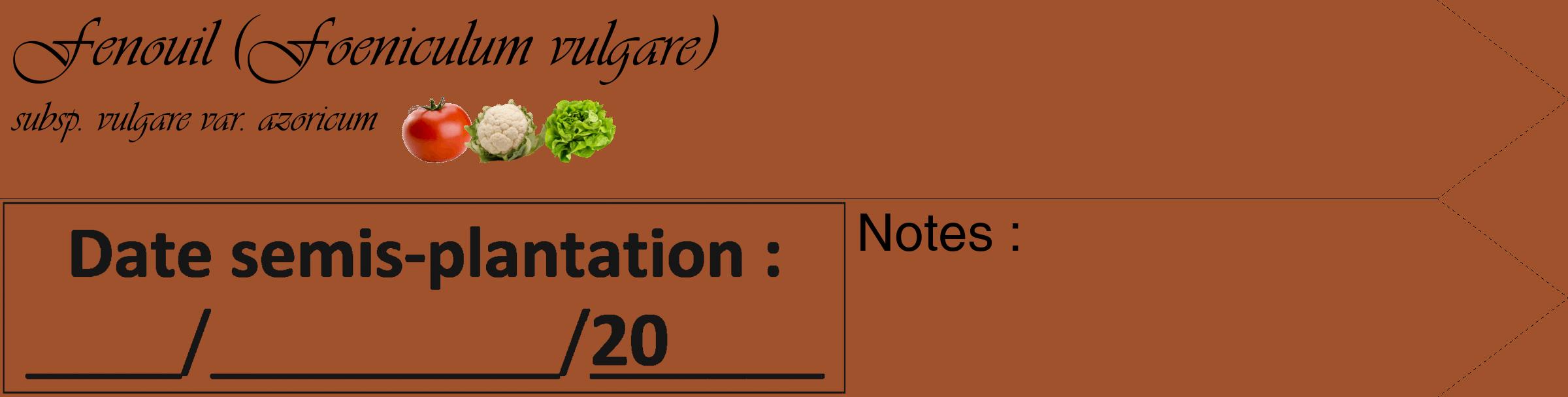 Étiquette de : Foeniculum vulgare subsp. vulgare var. azoricum - format c - style noire32_simple_simpleviv avec comestibilité simplifiée