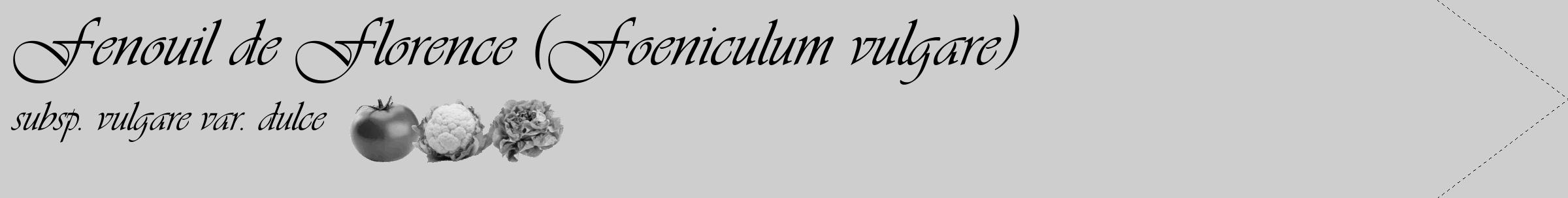 Étiquette de : Foeniculum vulgare subsp. vulgare var. dulce - format c - style noire17_simple_simpleviv avec comestibilité simplifiée