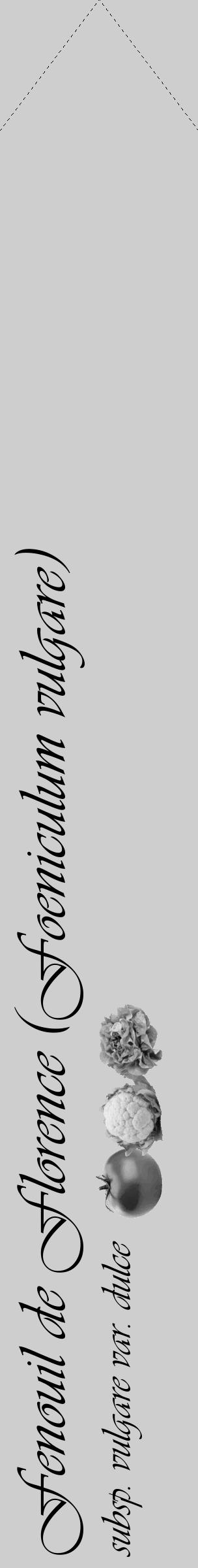 Étiquette de : Foeniculum vulgare subsp. vulgare var. dulce - format c - style noire17_simple_simpleviv avec comestibilité simplifiée - position verticale