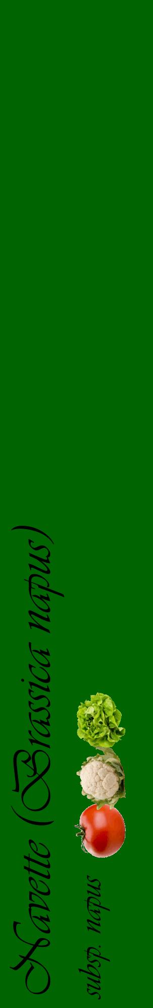 Étiquette de : Brassica napus subsp. napus - format c - style noire8_basiqueviv avec comestibilité simplifiée