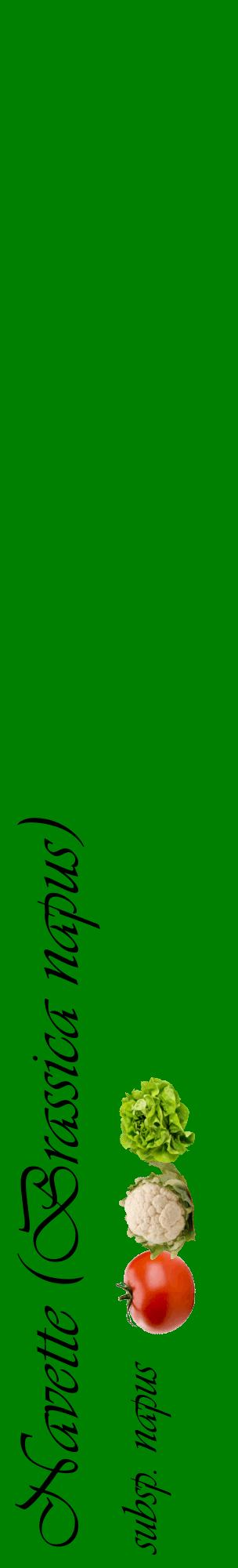 Étiquette de : Brassica napus subsp. napus - format c - style noire9_basiqueviv avec comestibilité simplifiée
