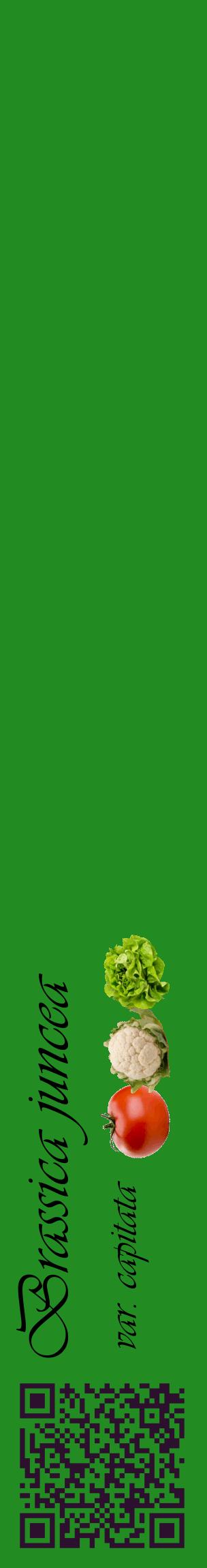 Étiquette de : Brassica juncea var. capitata - format c - style noire10_basiqueviv avec qrcode et comestibilité simplifiée