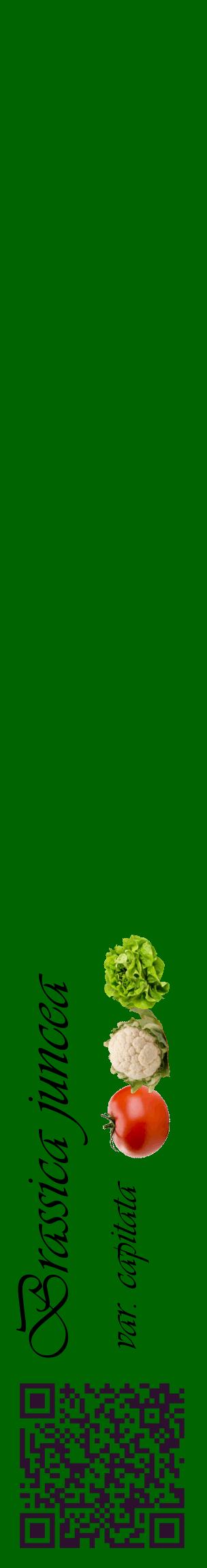 Étiquette de : Brassica juncea var. capitata - format c - style noire8_basiqueviv avec qrcode et comestibilité simplifiée
