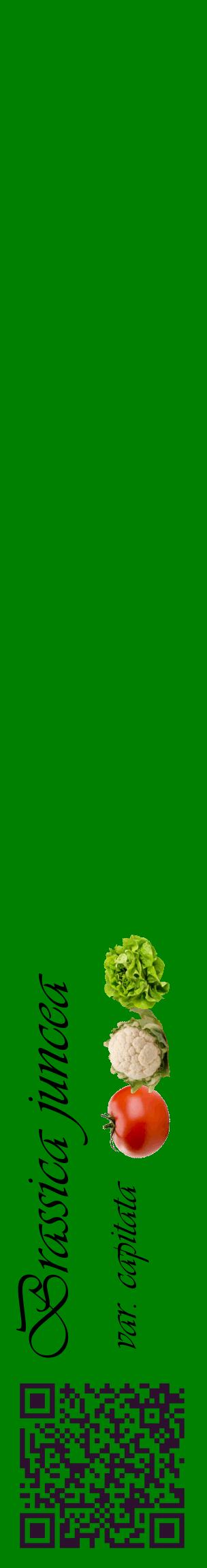 Étiquette de : Brassica juncea var. capitata - format c - style noire9_basiqueviv avec qrcode et comestibilité simplifiée