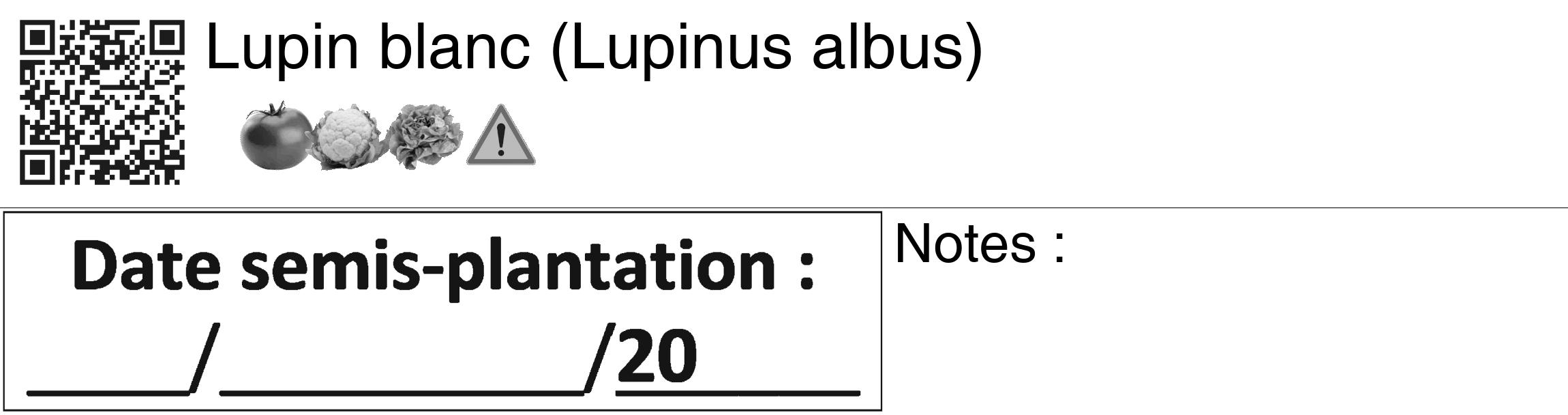 Étiquette de : Lupinus albus - format c - style noire60_basiquegrrvhel avec qrcode et comestibilité simplifiée