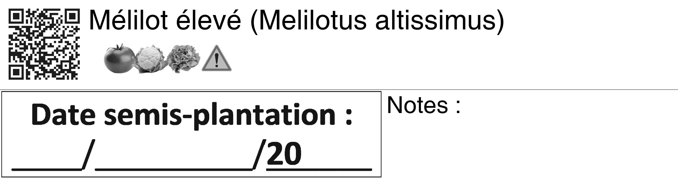 Étiquette de : Melilotus altissimus - format c - style noire60_basiquegrrvhel avec qrcode et comestibilité simplifiée