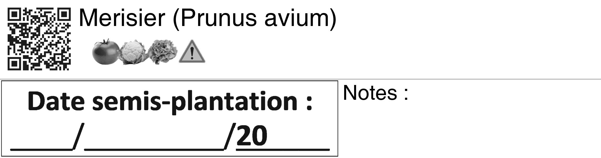 Étiquette de : Prunus avium - format c - style noire60_basiquegrrvhel avec qrcode et comestibilité simplifiée