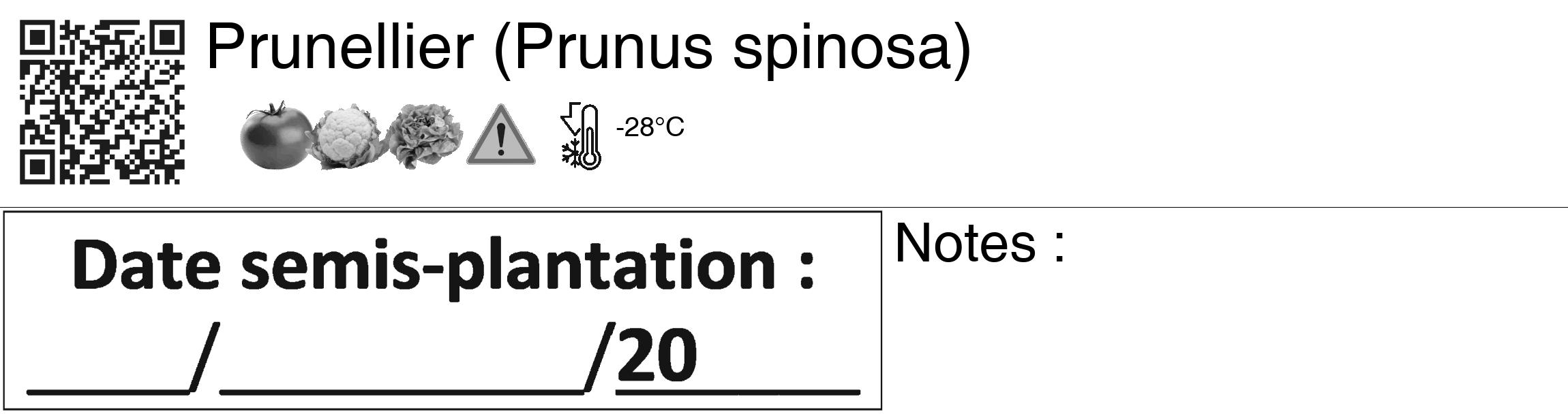 Étiquette de : Prunus spinosa - format c - style noire60_basiquegrrvhel avec qrcode et comestibilité simplifiée