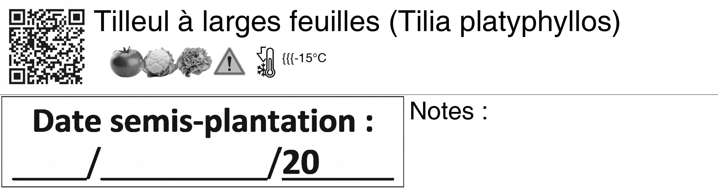 Étiquette de : Tilia platyphyllos - format c - style noire60_basiquegrrvhel avec qrcode et comestibilité simplifiée