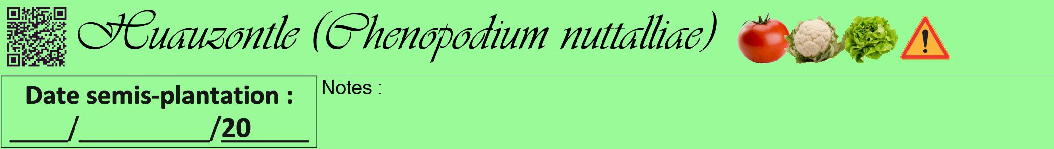 Étiquette de : Chenopodium nuttalliae - format a - style noire14viv avec qrcode et comestibilité simplifiée