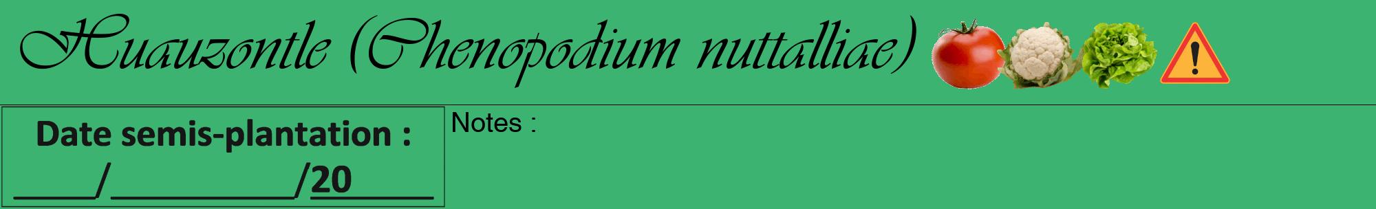 Étiquette de : Chenopodium nuttalliae - format a - style noire12viv avec comestibilité simplifiée