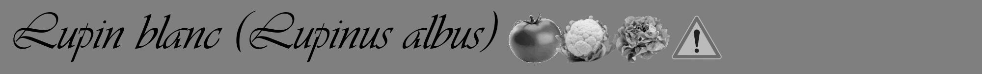 Étiquette de : Lupinus albus - format a - style noire31viv avec comestibilité simplifiée