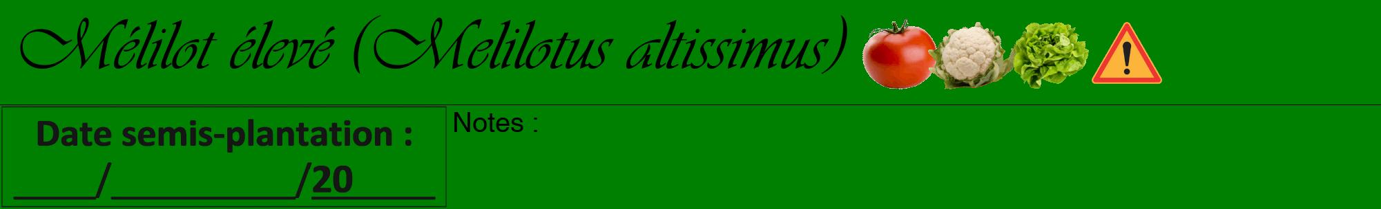 Étiquette de : Melilotus altissimus - format a - style noire9viv avec comestibilité simplifiée