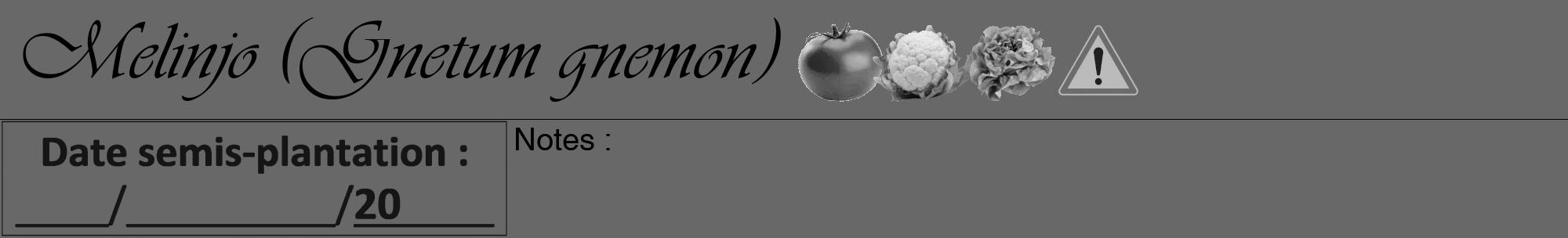 Étiquette de : Gnetum gnemon - format a - style noire6basiqueviv avec comestibilité simplifiée
