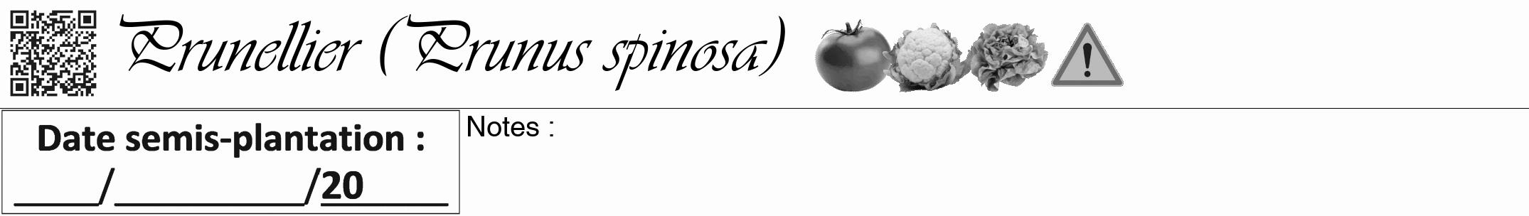 Étiquette de : Prunus spinosa - format a - style noire19simpleviv avec qrcode et comestibilité simplifiée