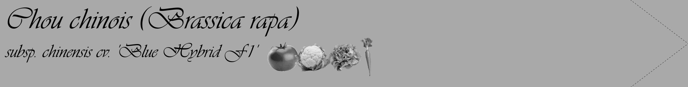 Étiquette de : Brassica rapa subsp. chinensis cv. 'Blue Hybrid F1' - format c - style noire13_simple_simpleviv avec comestibilité simplifiée