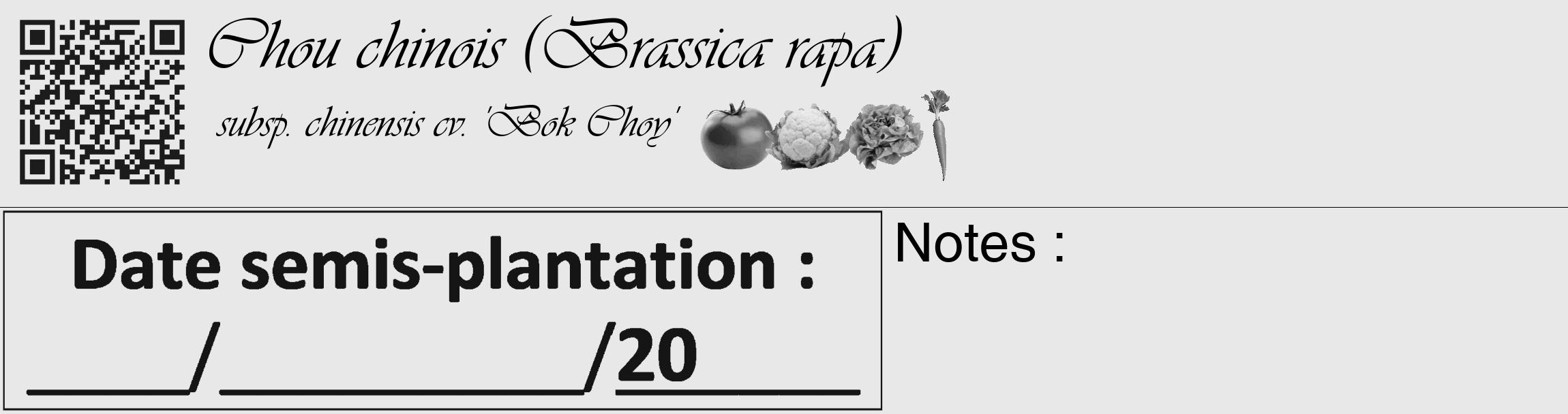 Étiquette de : Brassica rapa subsp. chinensis cv. 'Bok Choy' - format c - style noire55_basique_basiqueviv avec qrcode et comestibilité simplifiée