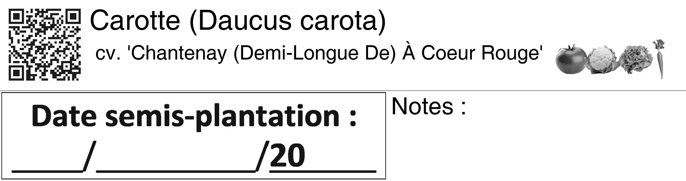 Étiquette de : Daucus carota cv. 'Chantenay (Demi-Longue De) À Coeur Rouge' - format c - style noire60_basiquegrrvhel avec qrcode et comestibilité simplifiée