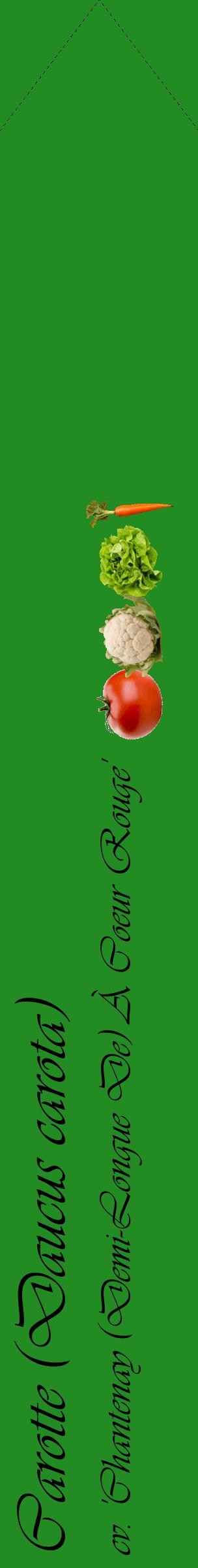 Étiquette de : Daucus carota cv. 'Chantenay (Demi-Longue De) À Coeur Rouge' - format c - style noire10_simpleviv avec comestibilité simplifiée