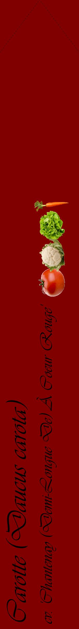 Étiquette de : Daucus carota cv. 'Chantenay (Demi-Longue De) À Coeur Rouge' - format c - style noire29_simpleviv avec comestibilité simplifiée