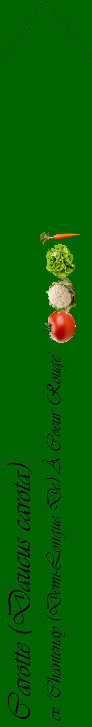 Étiquette de : Daucus carota cv. 'Chantenay (Demi-Longue De) À Coeur Rouge' - format c - style noire8_simpleviv avec comestibilité simplifiée