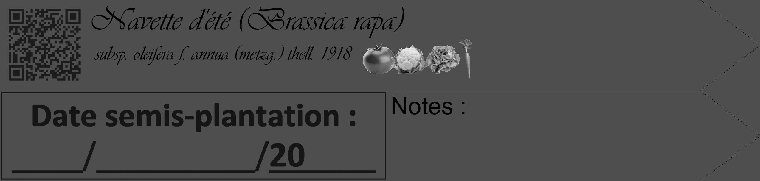 Étiquette de : Brassica rapa subsp. oleifera f. annua (metzg.) thell. 1918 - format c - style noire33simple_basique_basiqueviv avec qrcode et comestibilité simplifiée