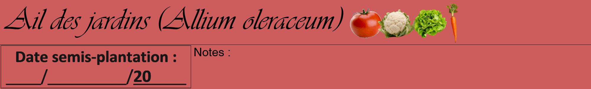 Étiquette de : Allium oleraceum - format a - style noire35viv avec comestibilité simplifiée