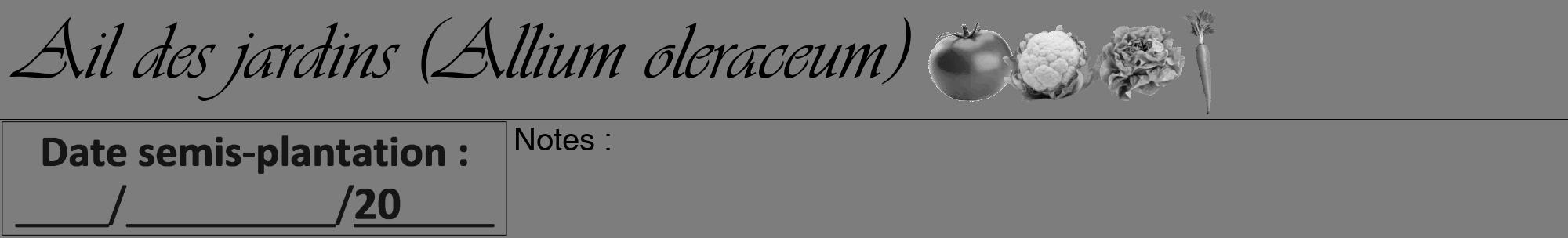 Étiquette de : Allium oleraceum - format a - style noire35viv avec comestibilité simplifiée