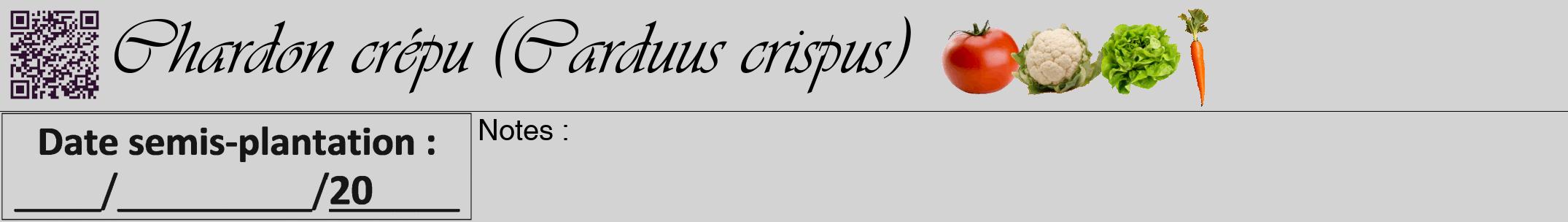 Étiquette de : Carduus crispus - format a - style noire56viv avec qrcode et comestibilité simplifiée