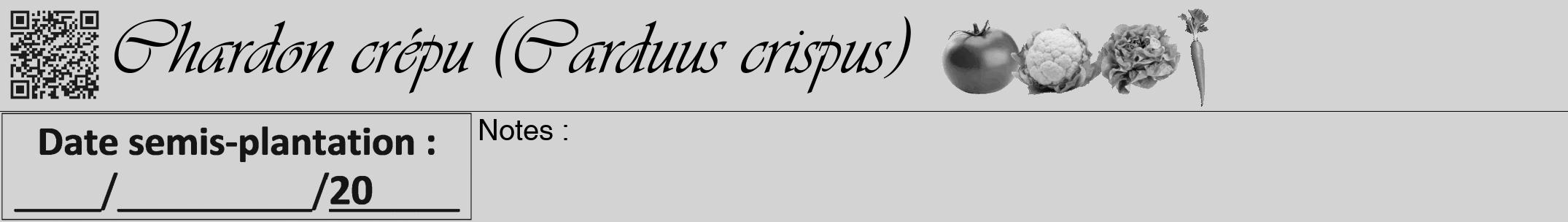 Étiquette de : Carduus crispus - format a - style noire56viv avec qrcode et comestibilité simplifiée